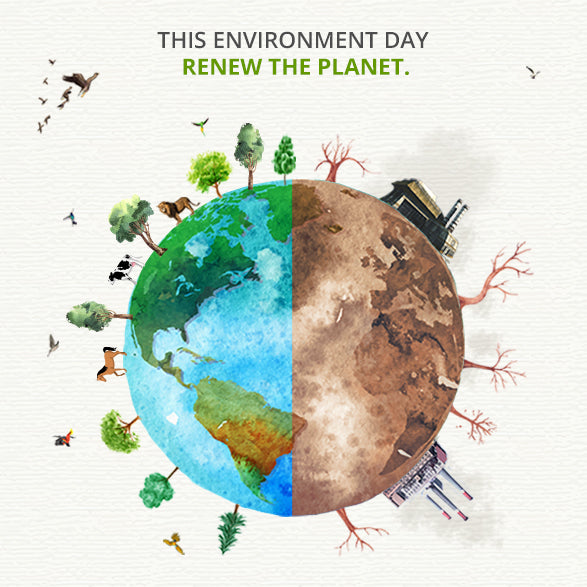 Renew the Planet This #ENVIRONMENTDAY