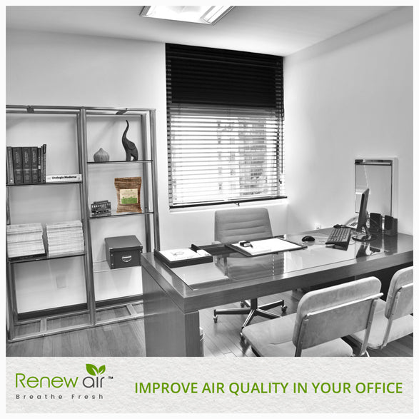 Improve Air Quality in your Office