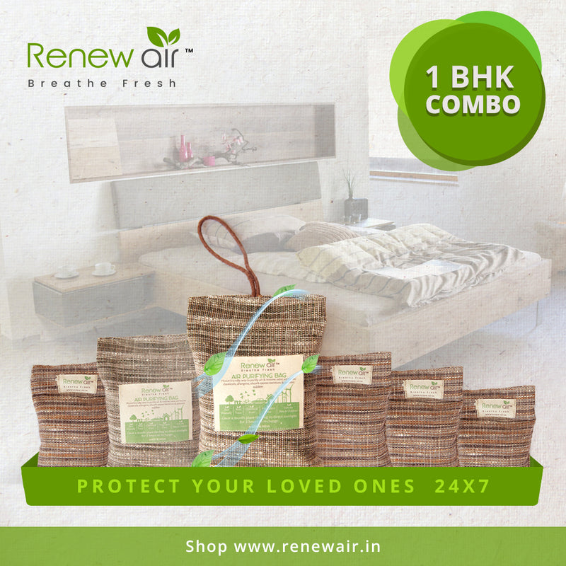 Renew Air Home Protection Kit for 1 Bedroom Apartment