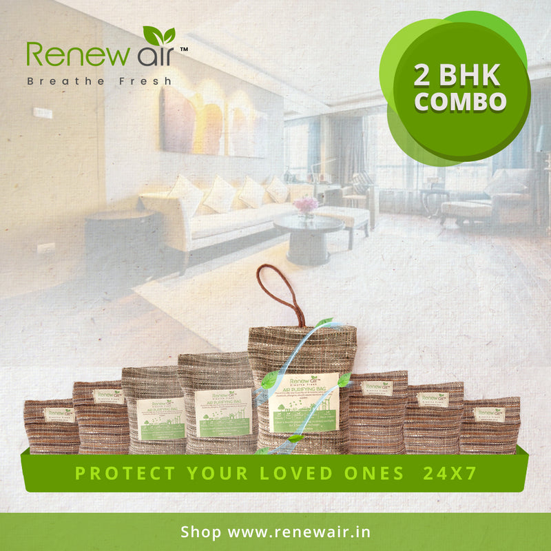 Renew Air Home Protection Kit for 2 Bedroom Apartment