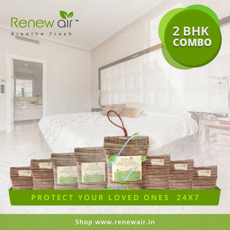 Renew Air Home Protection Kit for 2 Bedroom Apartment